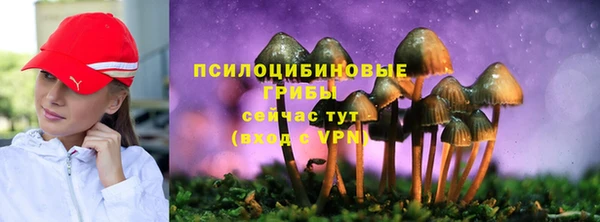 MESCALINE Вяземский