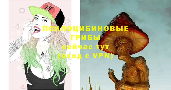 mix Снежногорск