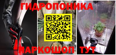 МДПВ Пенза