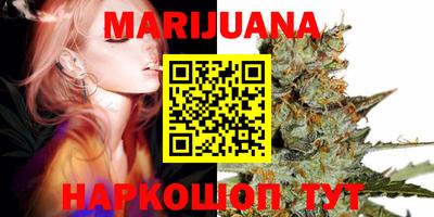 МДПВ Пенза