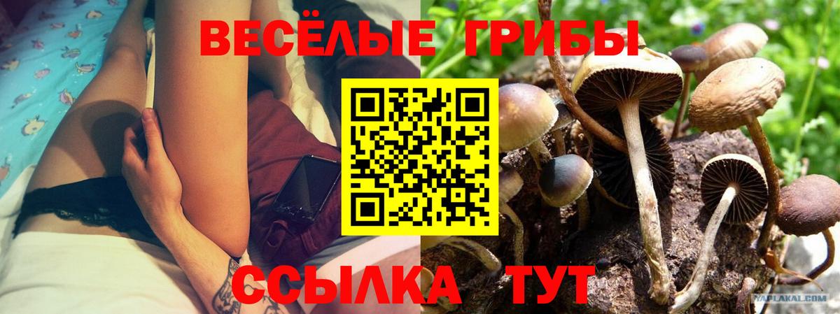 Псилоцибиновые грибы мицелий Бирск
